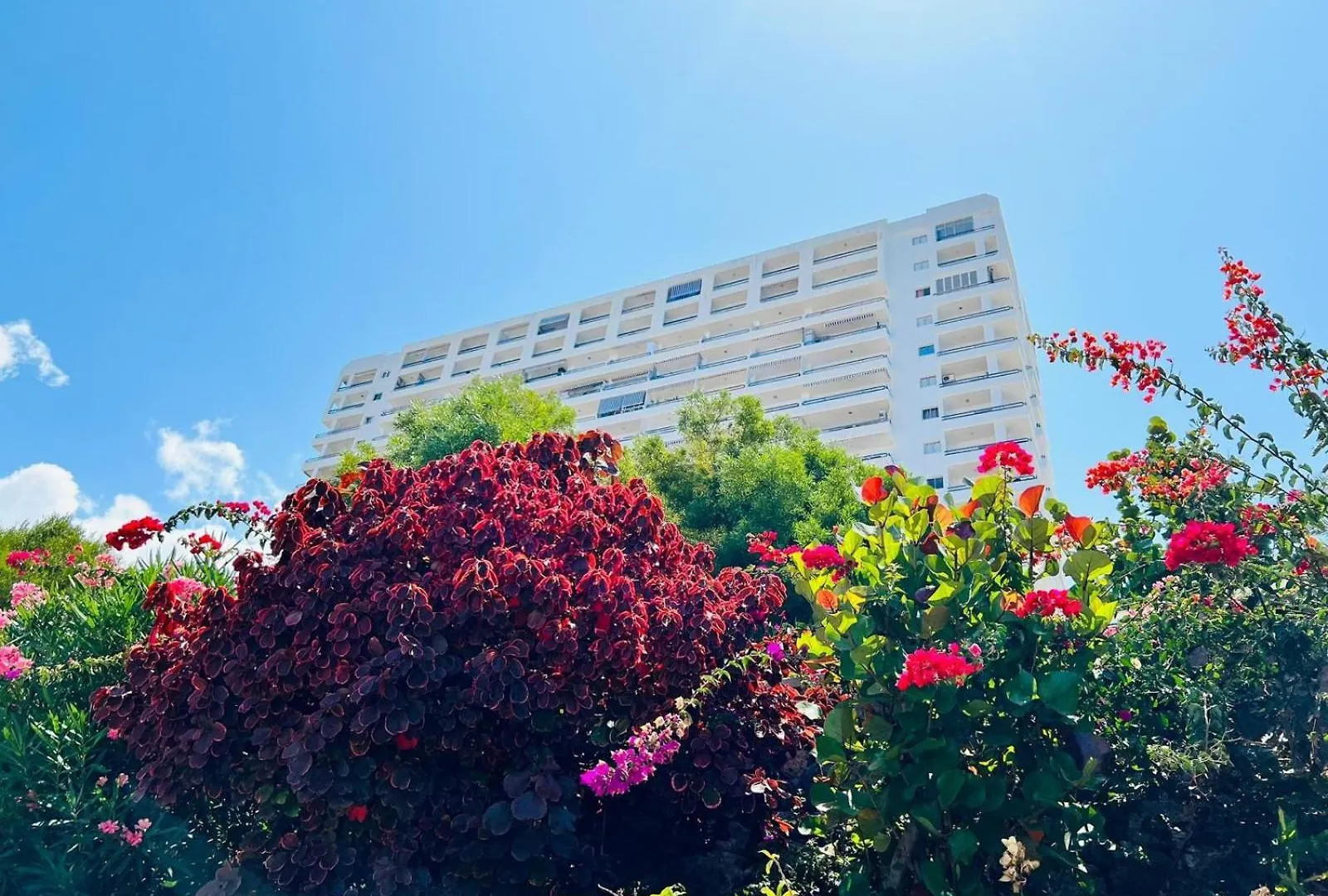Luxury Kim Apartment, Ocean View & Wifi Free Playa Paraiso  Casa vacanze Playa Paraiso (Tenerife)
